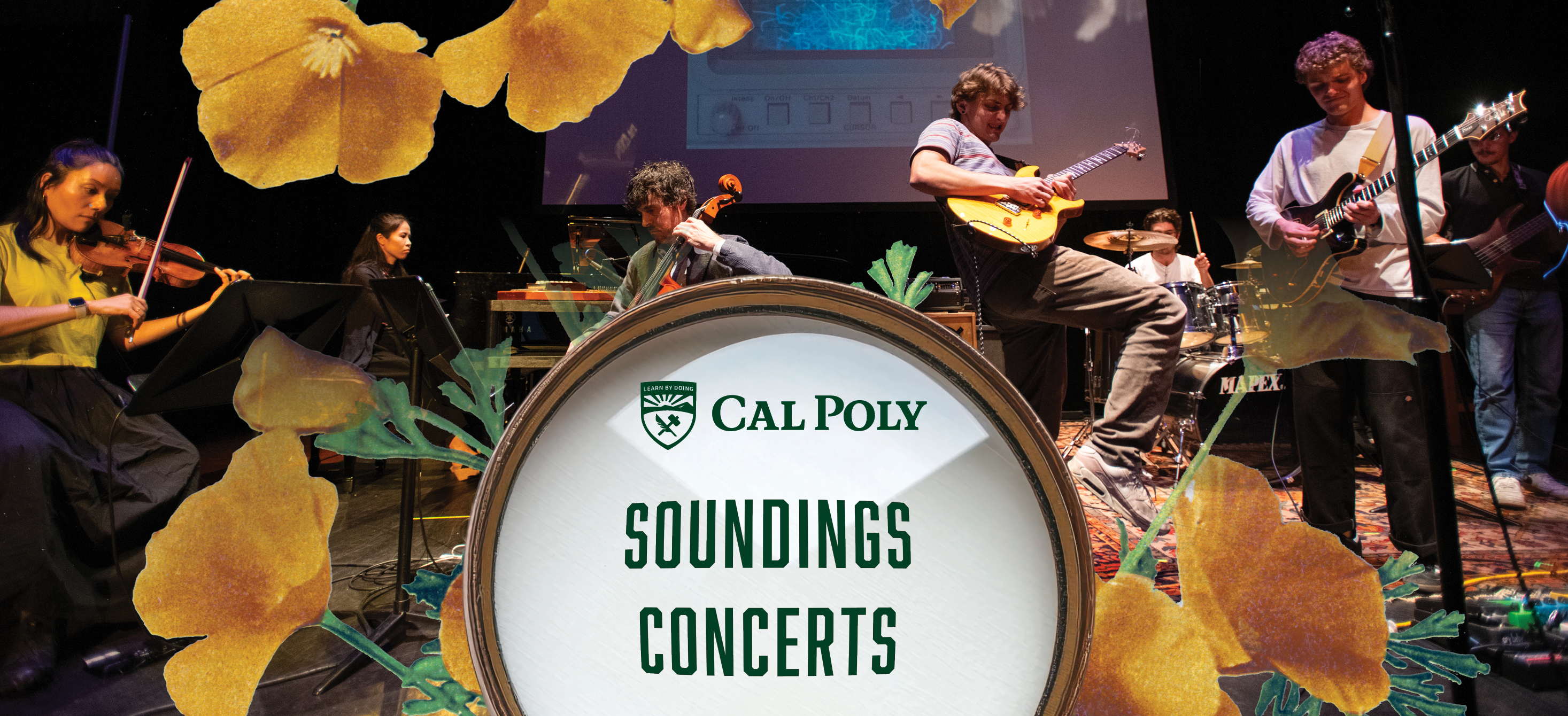 Musicians with California poppies